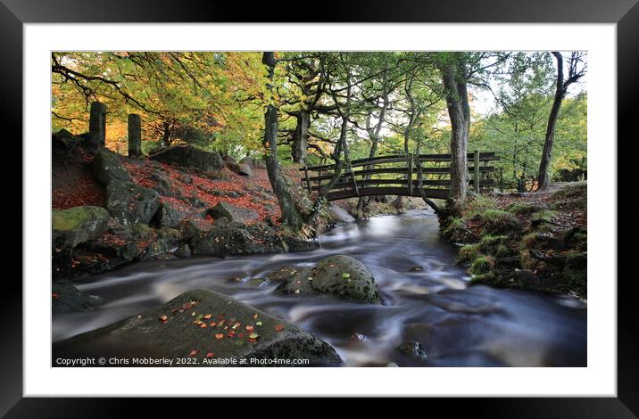 Autumn leaves at Padley Gorge Bridge Framed Mounted Print by Chris Mobberley