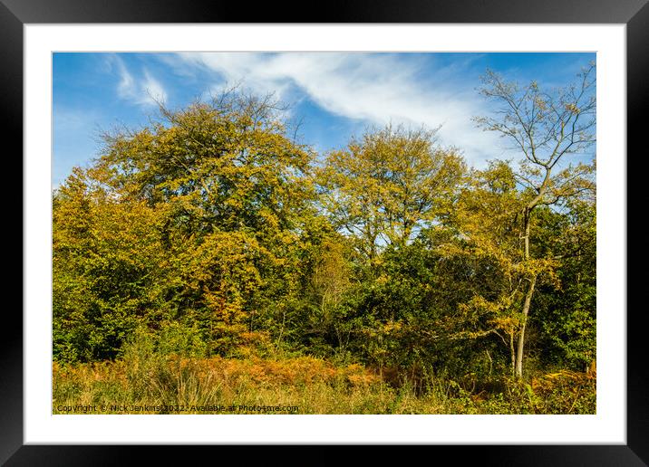 Autumnal Tints at Hensol Forest Vale of Glamorgan  Framed Mounted Print by Nick Jenkins