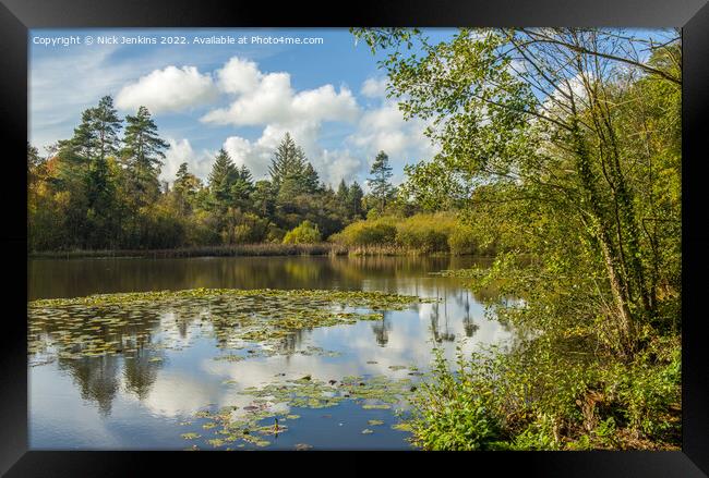 Hensol Forest Lake in Autumn  Framed Print by Nick Jenkins