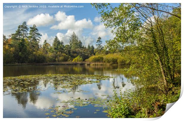Hensol Forest Lake in Autumn  Print by Nick Jenkins