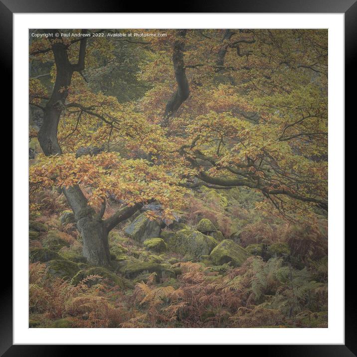 Padley Gorge Framed Mounted Print by Paul Andrews