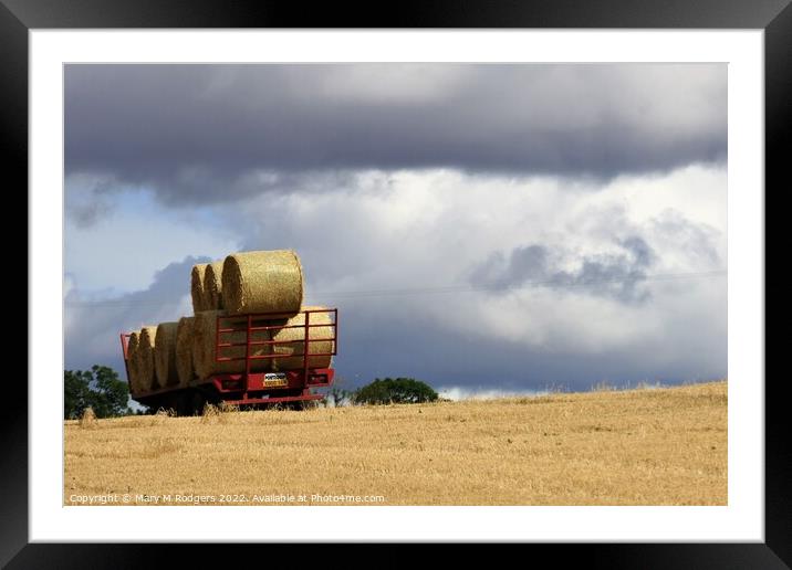 Harvest Time Framed Mounted Print by Mary M Rodgers