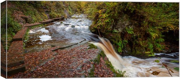 Boardwalk along the Nant Llech river Canvas Print by Leighton Collins