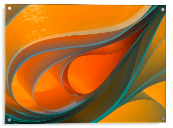 Light and Curves 4 Acrylic by Kelly Bailey