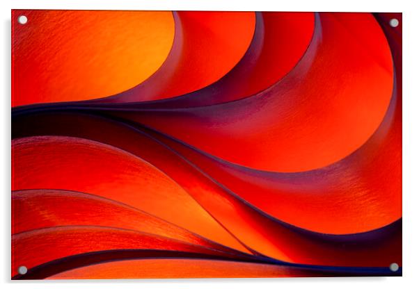 Light and Curves 3 Acrylic by Kelly Bailey