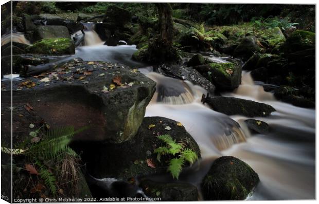 Padley Gorge waterfall Canvas Print by Chris Mobberley