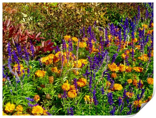 Plant Autumn Flowers Print by Stephanie Moore