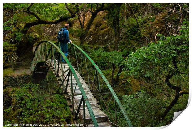 The Old Circular Bridge at Devils Bridge Falls Print by Martin Day