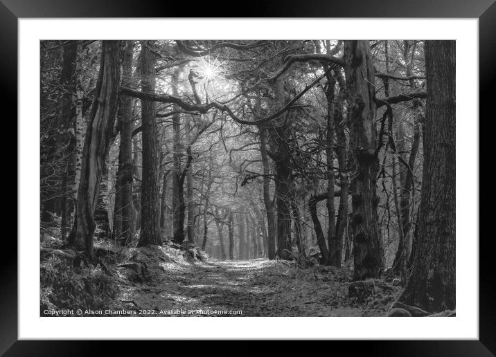 Padley Gorge Woodland Framed Mounted Print by Alison Chambers
