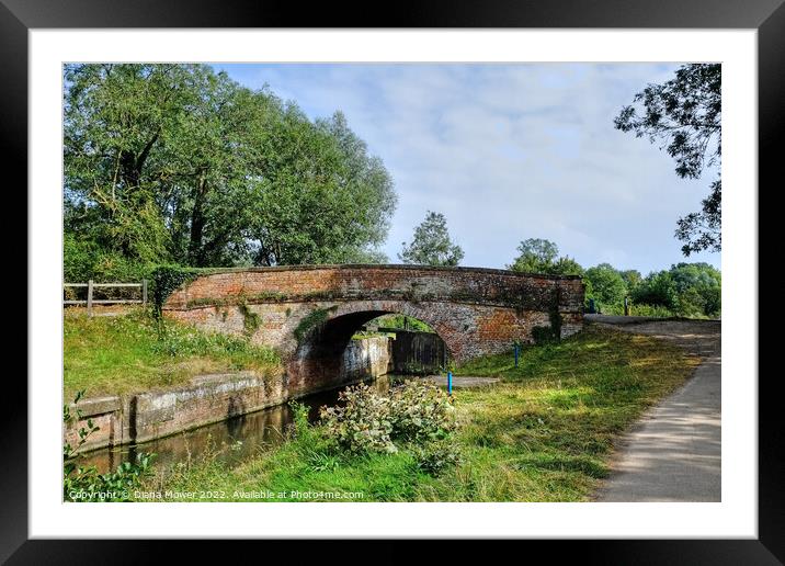 The Old Bridge at Beeleigh Essex Framed Mounted Print by Diana Mower