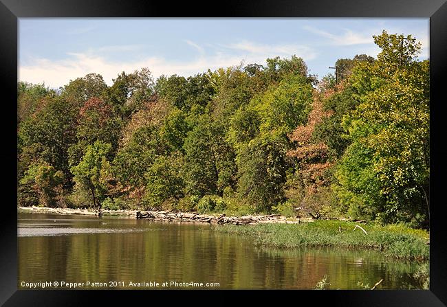 Captured Peace Framed Print by Pepper Patton