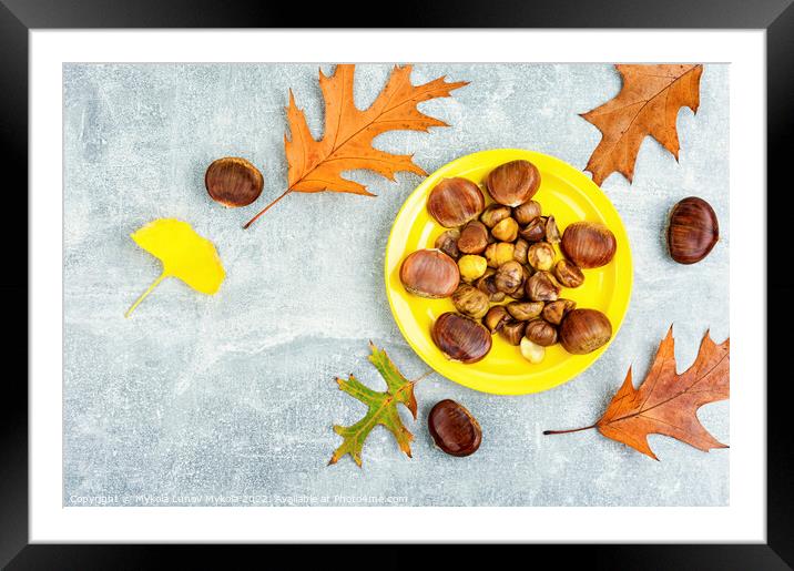 Peeled roasted chestnuts, appetizing dessert. Framed Mounted Print by Mykola Lunov Mykola