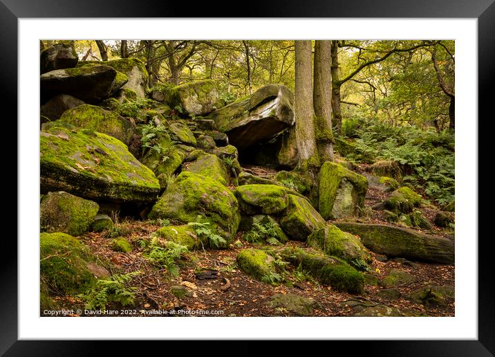 Padley Gorge Rocks Framed Mounted Print by David Hare