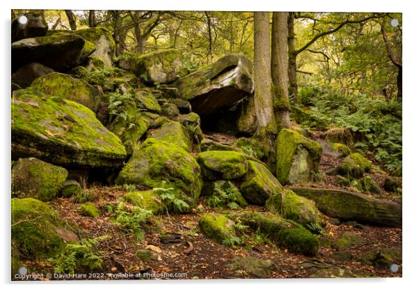 Padley Gorge Rocks Acrylic by David Hare
