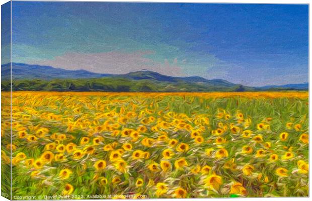 Sunflower Dreams Art  Canvas Print by David Pyatt