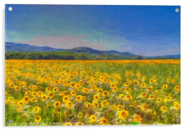 Sunflower Dreams Art  Acrylic by David Pyatt