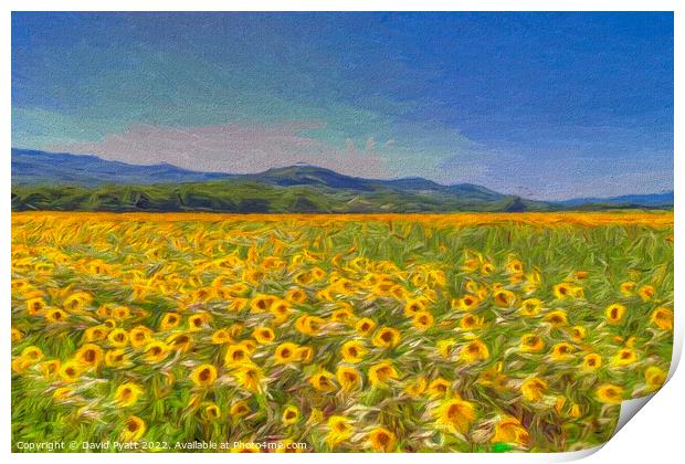 Sunflower Dreams Art  Print by David Pyatt
