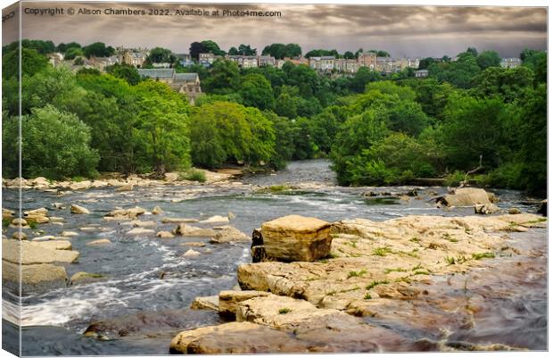 Richmond River Swale Canvas Print by Alison Chambers