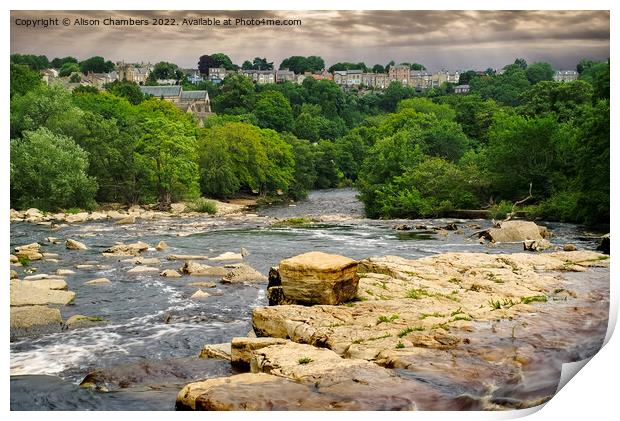 Richmond River Swale Print by Alison Chambers