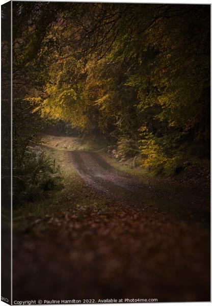 Forrest Road, Stirling Canvas Print by Pauline Hamilton