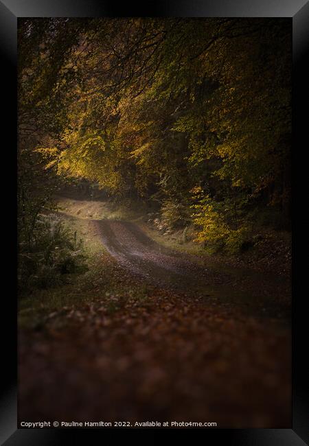 Forrest Road, Stirling Framed Print by Pauline Hamilton