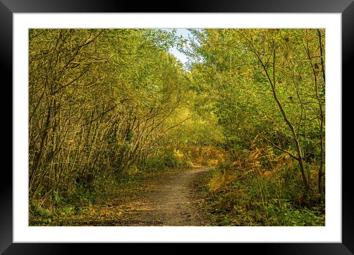 Pathway in Hensol Forest Woods in October Framed Mounted Print by Nick Jenkins