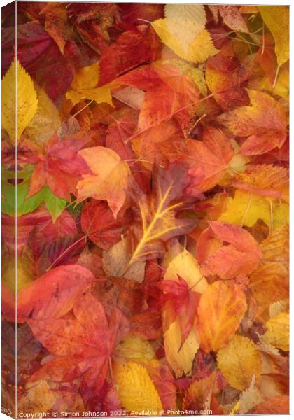 Autumn  Leaves Canvas Print by Simon Johnson