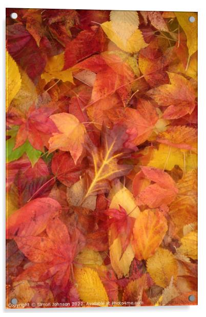 Autumn  Leaves Acrylic by Simon Johnson