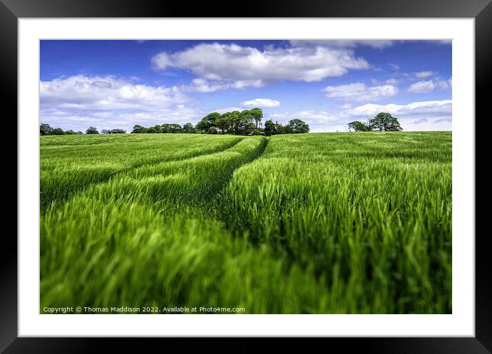 Outdoor field Framed Mounted Print by Thomas Maddison