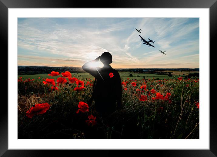 Poppy Salute Framed Mounted Print by J Biggadike