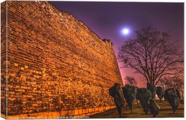 City Wall Park Moon Stars Night Beijing China Canvas Print by William Perry