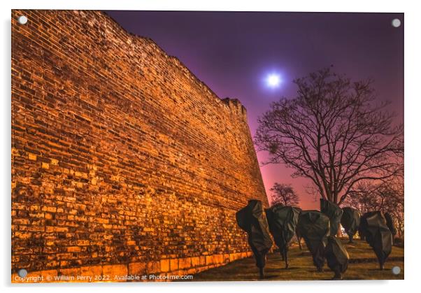 City Wall Park Moon Stars Night Beijing China Acrylic by William Perry