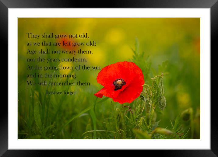 For the Fallen ,Lest we forget Framed Mounted Print by kathy white