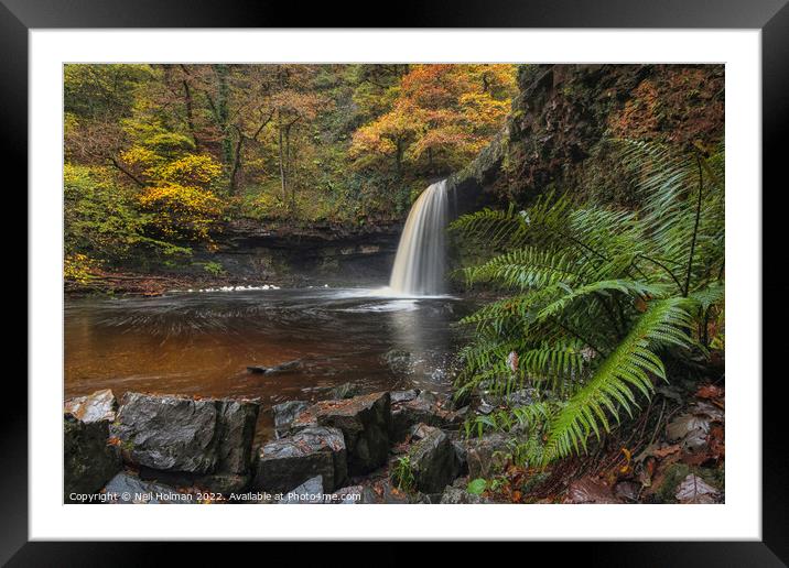 Autumn Colours at Sgwd Gwladys Waterfall Framed Mounted Print by Neil Holman