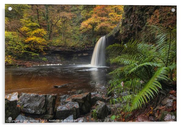 Autumn Colours at Sgwd Gwladys Waterfall Acrylic by Neil Holman