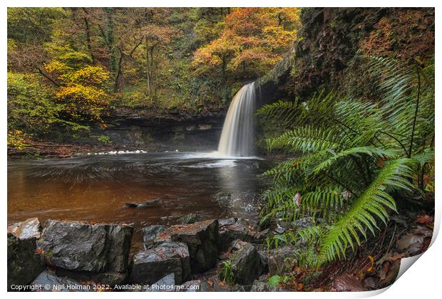 Autumn Colours at Sgwd Gwladys Waterfall Print by Neil Holman