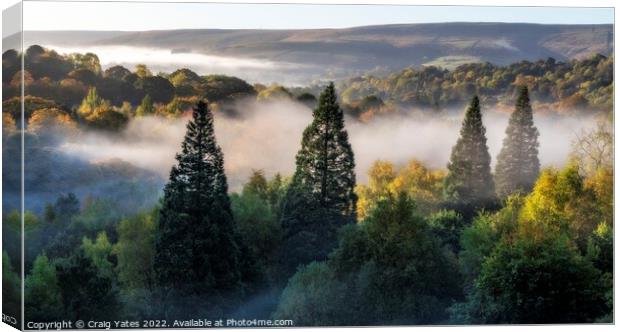 Mist In The Trees Peak District Derbyshire Canvas Print by Craig Yates
