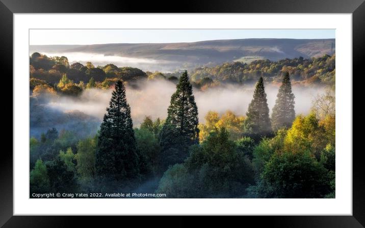 Mist In The Trees Peak District Derbyshire Framed Mounted Print by Craig Yates
