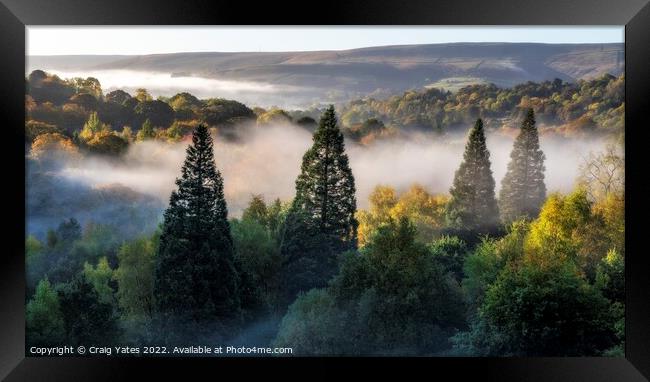 Mist In The Trees Peak District Derbyshire Framed Print by Craig Yates