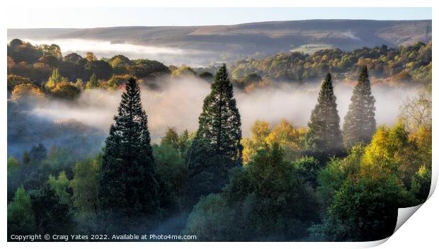 Mist In The Trees Peak District Derbyshire Print by Craig Yates