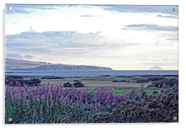 Ailsa Craig and Heads of Ayr from Prestwick Acrylic by Allan Durward Photography