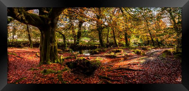 River Fowey, Golitha falls, Bodmin Framed Print by Maggie McCall