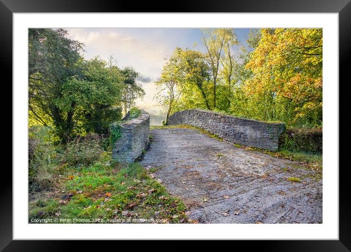 Serene Autumn Stone Bridge Neath canal Framed Mounted Print by Peter Thomas