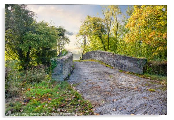 Serene Autumn Stone Bridge Neath canal Acrylic by Peter Thomas