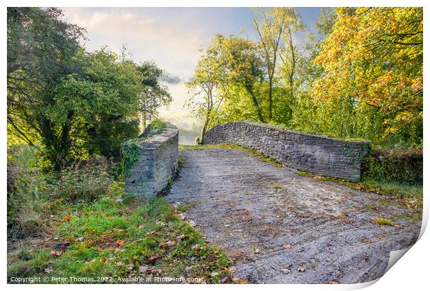 Serene Autumn Stone Bridge Neath canal Print by Peter Thomas