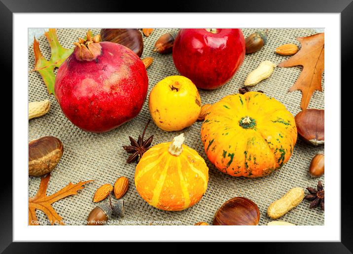Autumn food, pumpkins and nuts. Framed Mounted Print by Mykola Lunov Mykola