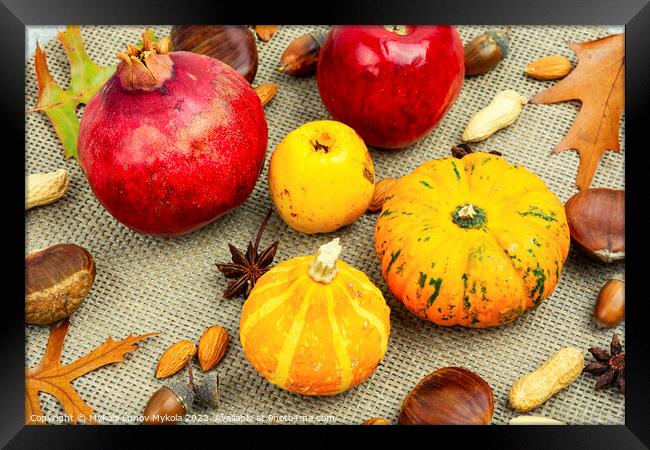 Autumn food, pumpkins and nuts. Framed Print by Mykola Lunov Mykola