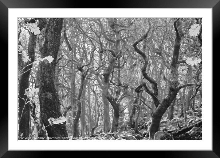 Padley Gorge in Monochrome  Framed Mounted Print by Alison Chambers