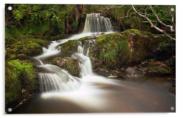 autumn waterfall Acrylic by Alan Tunnicliffe