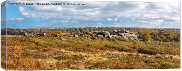 Owler Tor Canvas Print by David Hare
